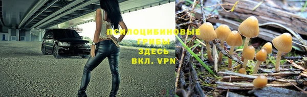 спайс Абдулино