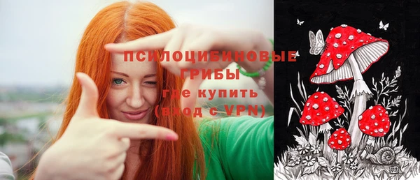 прущие крисы Абаза